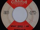 FRANKIE & THE CLASSICALS: What Should I Do CALLA Northern Soul PROMO 45 Hear