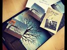 RARE Biffy Clyro opposites boxset vinyl lp/cd plus extras