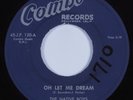 Doo Wop 45 NATIVE BOYS Oh Let Me Dream COMBO HEAR VG+