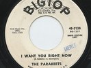 Hear- Rare Popcorn / Soul 45- The Parakeets- I Want You Right Now- BigTop- Promo