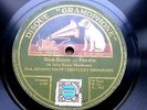 0717/JOHNNY HAMP´S KENTUCKY SERENADER-BLACK BOTTOM-Charleston-SOLISTIK-Schellack