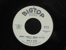 DON & JUAN What I Really Meant To Say BIGTOP DJ  listen