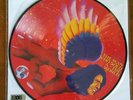 David Bowie The Man Who Sold The World - Record Store Day RSD 2016 Picture Disc