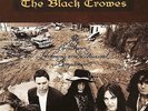 BLACK CROWES   THE SOUTHERN HARMONY...   2 x 180gsm VINYL LP   MP3   NEW/SEALED