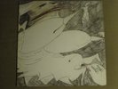 RUDIMENTARY PENI ECHOES OF ANGUISH LP ORIG '97 BOOBOO6 RARE UK HARDCORE PUNK VG+