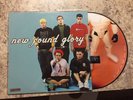 New Found Glory Self Titled Picture Disc Vinyl LP