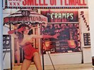 TWO Rare Punk LPS- The Cramps- Smell Of Female - Red Wax- Big Beat  DEI2005-1$