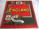 ENGLAND   GARDEN SHED ** 1977 UK 1st ARISTA LP