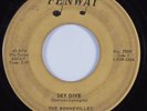 Instrumental Rocker Tittyshaker 45 BONNEVILLES Sky Dive FENWAY HEAR