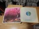 JANNE SCHAFFER The Chinese LP 1974 VERTIGO 1st SUPERB MINT