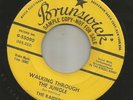 PSYCHO TITTYSHAKER VOCAL- RAIDERS- WALKING THHROUGH JUNGLE -HEAR- 1958 BRUNSWICK