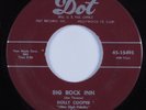 Rockabilly 45 DOLLY COOPER Big Rock Inn DOT HEAR VG++/VG+