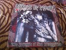 CRADLE OF FILTH - THE PRINCIPLE OF EVIL MADE FLESH 1994 BLUE LP UK