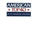 American Top 40 Top 100 Hits 1989 Tone Loc Bobby Brown B-52s Richard Marx Cher