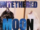 Built To Spill - Untethered Moon [Vinyl New]