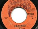 LOS PANZER'S al caer de la tarde / tema de intriga GARAGE BEAT Nicaragua LISTEN