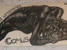COMUS First Utterance LP 1971 DAWN 1st Press BRILLIANT EXAMPLE
