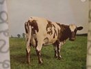 Pink Floyd - Atom heart mother