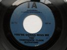 13th/Thirteenth Floor Elevators - You're Gonna Miss Me IA 107 EX
