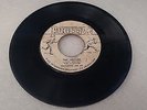 THE FUGITIVES FEAT. JOE JOE - THE LECTURE/ CANTELOPE ROCK/ FILLER COPY/ 7