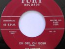 THE KODOKS Make Believe World b/w Oh Gee Gosh 45 DOO-WOP FURY 1015