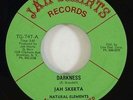 Jah Skerta & Natural Elements 