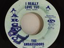 The Ambassadors Northern Soul 45 - I Really Love You/I Can't Believe You Love Me