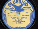 BLUES- BO CARTER 