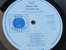 SUNNYLAND SLIM - MIDNIGHT JUMP - VERY RARE MONO 1969 BLUE HORIZON LP 7-63213