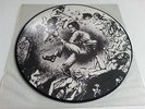 Dark Angel We Have Arrived Picture LP Vinyl