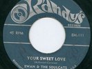 ROCK STEADY - YOUR SWEET LOVE  - EWAN & THE SOULCATS - Orig Randy's US 7