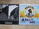 PROCOL HARUM A Salty Dog / A Whiter Shade Of Pale UK double vinyl LP in gatefold