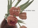 TO ROCOCO ROT - AMATEUR VIEW (LIMITED EDITION) 2 VINYL LP + CD  POP  NEW