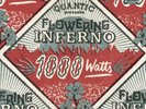 QUANTIC PRESENTA FLOWERING INFERNO - 1000 WATTS (2LP+MP3)  2 VINYL LP + MP3 NEW