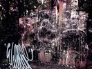 Wildlife - 2 DISC SET - La Dispute (2011, Vinyl New)