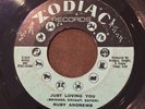 1968 Northern Soul RUBY ANDREWS Just Loving You / The Love I Need 45 RPM