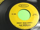 The Remains Diddy Wah Diddy Once Before Epic 45 Garage EX 1966
