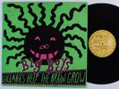 BIG BOYS Lullabies Help The Brain Grow ENIGMA LP NM