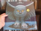 RUSH USA ORIG.  IN SHRINK FLY BY NIGHT VINYL LP  VINYL LOOKS UNPLAYED