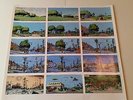 A Short History of America poster (R Crumb)