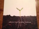 Balance And Composure Tigers Jaw  Green Brown Swirl Colored Vinyl Record 2010