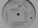 Tenderness Gotta Keep On Trying DJ Harvey Edit