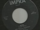 BIZARRE ROCKABILLY SURF INSTRO- FABULOUS IMPERIALS -- WEIRD -HEAR -FLORIDA IMPRA