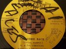 Al & The Vibrators I'll Come Back JA 7