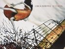 Juturna: Deluxe 10 Year Anniversary Edition - Circa Survive (2016, Vinyl NEU)