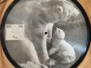 BILLY TERNENT 1ST UK PICTURE DISC ? VERY RARE 78 SATURN LABEL, EVA BEYNON