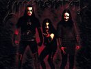 Immortal - Damned In Black (Vinyl)
