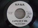 Rare Northern Soul / Raw R&B stompers THE WILD ONES on S.P.Q.R. from 1964 LISTEN
