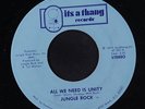 JUNGLE ROCK: All We Need Is Unity / Life Is A Gamble 45 rare Funk