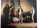 SCREAMING TREES Even If Especially When ORIG 12